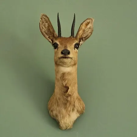 Thuers Im Busch - Upkammer - Ab 3 Naechte - Mit Stil In * Мюнстер