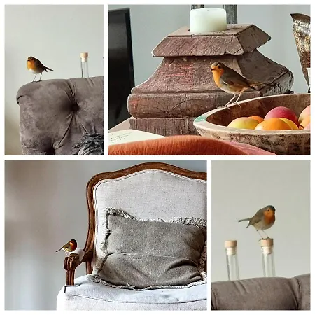 Апартаменты Thuers Im Busch - Upkammer - Ab 3 Naechte - Mit Stil In Мюнстер