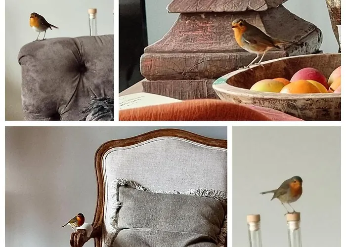 Апартаменты Thuers Im Busch - Upkammer - Ab 3 Naechte - Mit Stil In Мюнстер